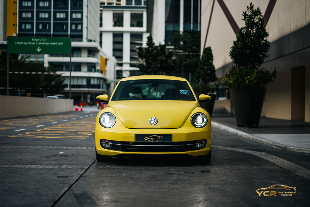 Volkswagen Beetle Image